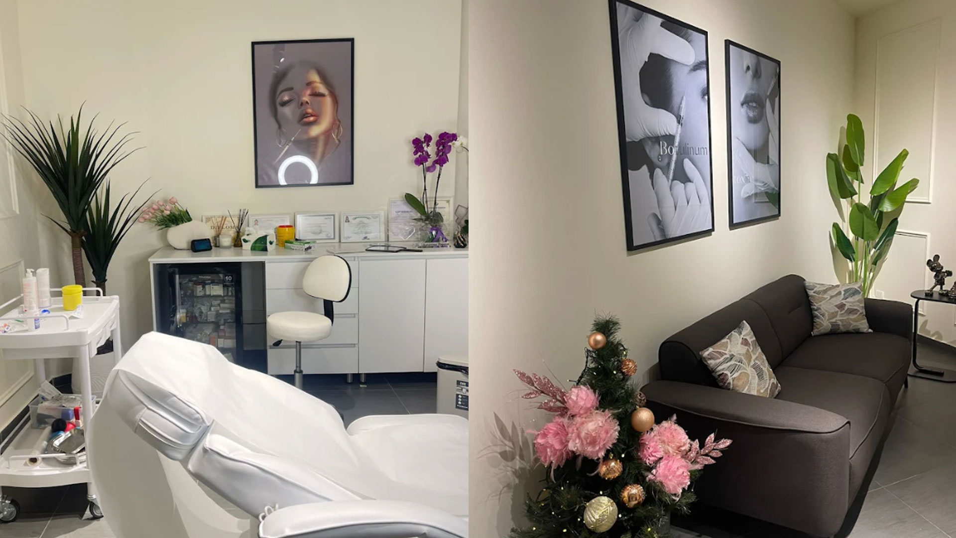 Aesthetic Treatments